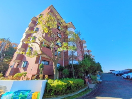 ���n�O�ώʐ^ �O�ρ��V������炵���n�܂�ꏊ�ŁA�Ƒ����J��[�߂�