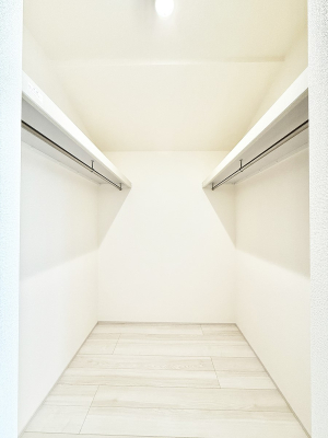 ���̑� �������v���X���̎��[�X�y�[�X  