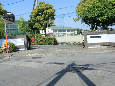 ���ӊ� ���w�Z 2400m ���ˎs���������w�Z