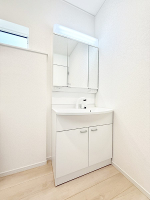 ���ʑ�E���ʏ� ���������̏������X���[�Y�ɂł���L���ł�