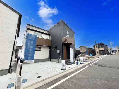 ���n�O�ώʐ^ �O�ρ��V�����Z�܂��A�X�̐V�������i