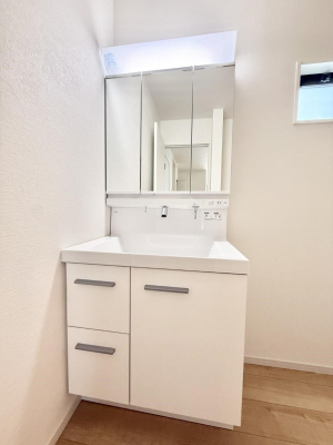 ���ʑ�E���ʏ� ���������̏������X���[�Y�ɂł���L���ł�