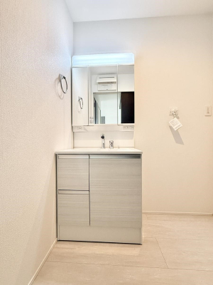 ���ʑ�E���ʏ� ���������̏������X���[�Y�ɂł���L���ł�