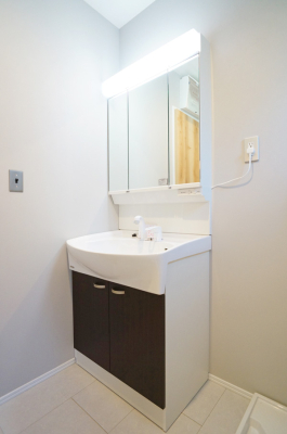 ���ʑ�E���ʏ� ���������̏������X���[�Y�ɂł���L���ł�