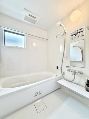 ���� ����