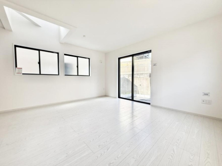 ���̑����� ����