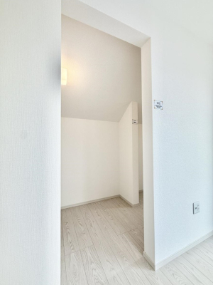 ���̑� ���������Ќ��n�ł�����������