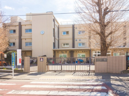 ���ӊ� ���w�Z 800m ��a�s����a���w�Z