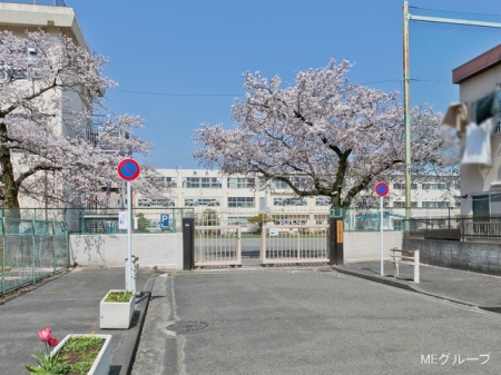 ���ӊ� ���w�Z 1400m �����q�s����܏��w�Z