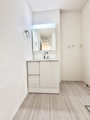 ���ʑ�E���ʏ� ���������̏������X���[�Y�ɂł���L���ł�