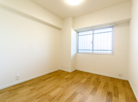 ���̑����� ����