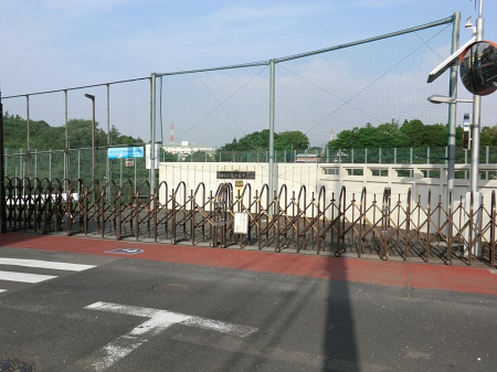 ���ӊ� ���w�Z 1500m �����s���k�̑䒆�w�Z