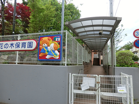 ���ӊ� �c�t���E�ۈ牀 290m �Ԃ̖ؕۈ牀