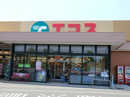 ���ӊ� �X�[�p�[ 1500m TAIRAYA �������q�X