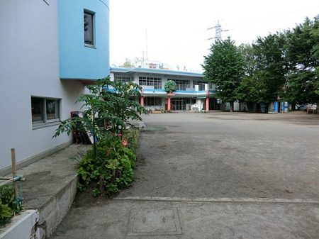 ���ӊ� �c�t���E�ۈ牀 200m �w�Z�@�l����w�� �F�肱�ǂ��� �����̂����c�t��