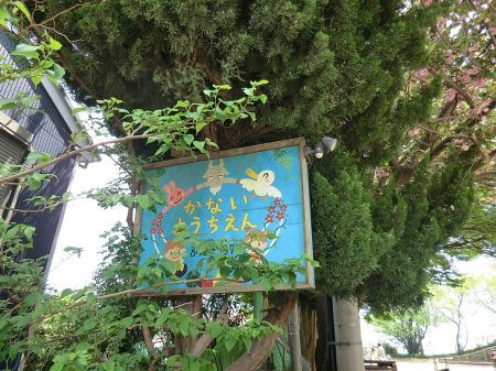 ���ӊ� �c�t���E�ۈ牀 800m ����c�t��