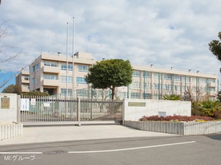 ӊ wZ 1200m ؎srwZ