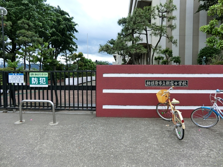 周辺環境 小学校 919m 相模原市立新宿小学校