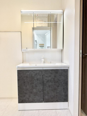 ���ʑ�E���ʏ� ���������̏������X���[�Y�ɂł���L���ł�