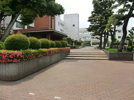 周辺環境 中学校 1300m 相模原市立小山中学校
