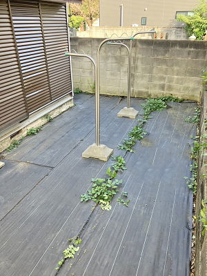 ̑ Oρ炵ɏ^A΂ꂽZ܂ł