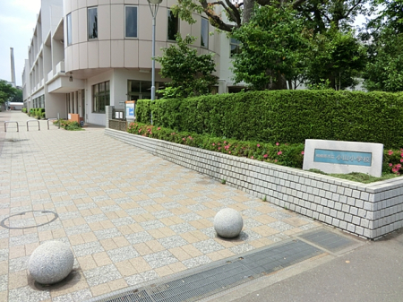 周辺環境 小学校 400m 相模原市立小山小学校