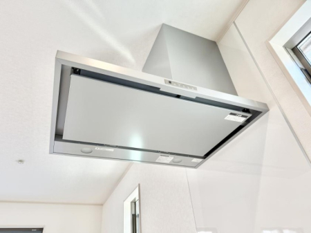 ̑ ݔt[hɕĂׁACɗUAIɔrł܂