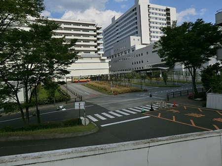 周辺環境 病院 2900m 東海大学医学部付属病院